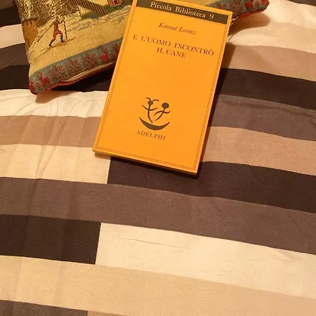 Ca' Delle Nevi Appartamento *